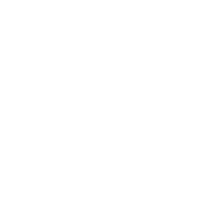 White Qualification Icon